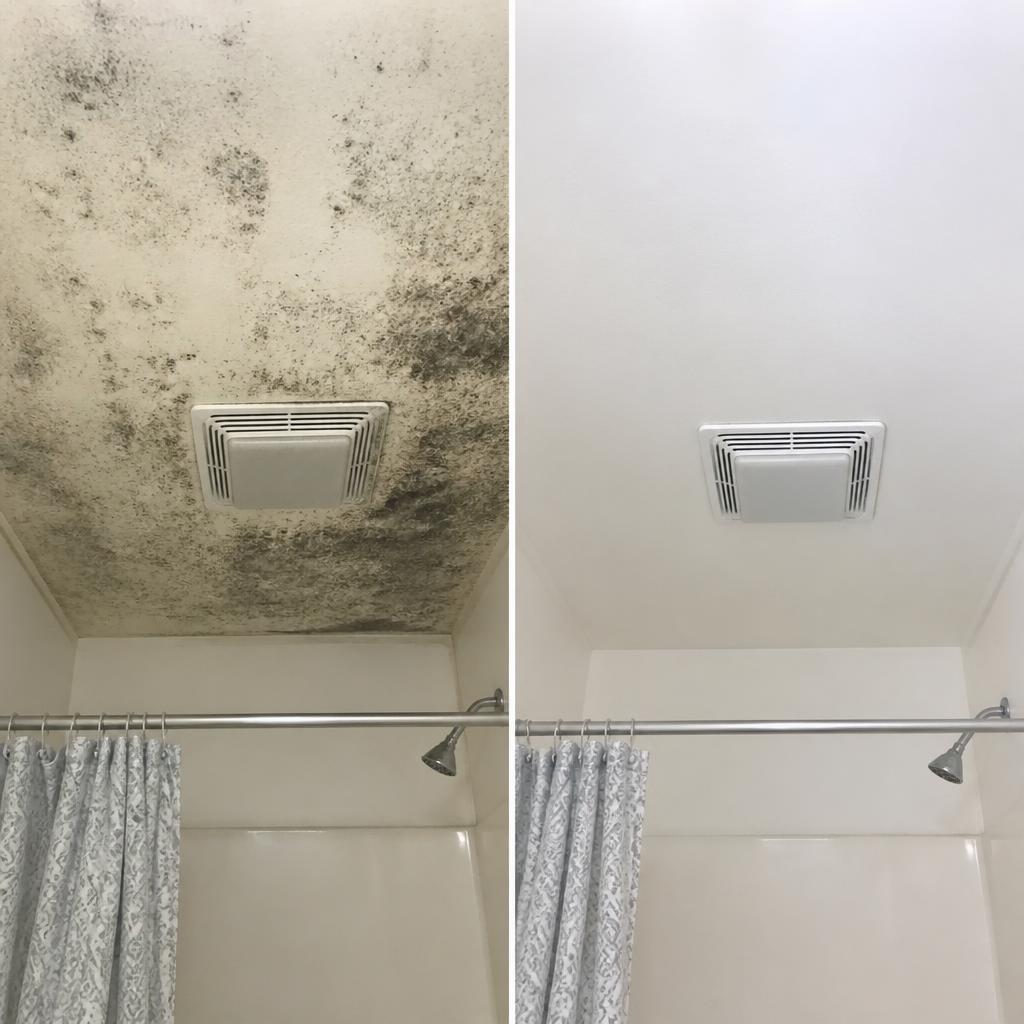 Before and after bathroom ceiling mold cleanup